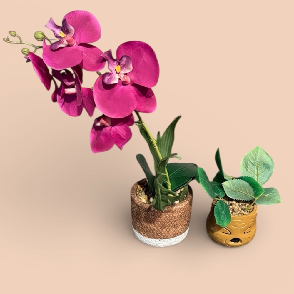 Elegant Magenta Orchid in Textured Pot
